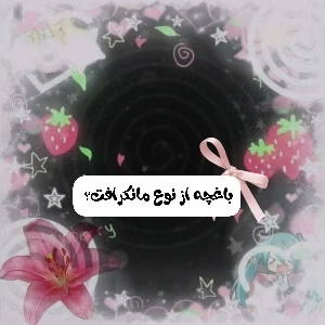 عکس}