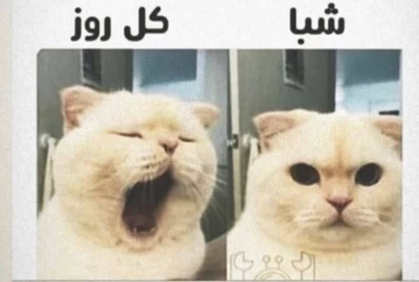 عکس
