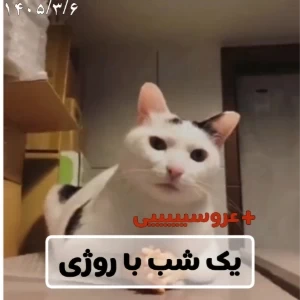 عکس}