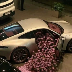 عکس گل برای گل!
