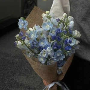 عکس مدل مو برای افراد مو بلند!