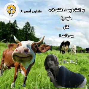 عکس بوانتروپی ؛ وقتی فرد خود را گاو میداند !