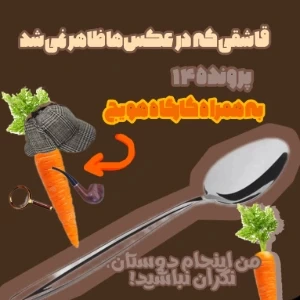 "قاشقی که در عکس‌ها ظاهر نمی‌شد"