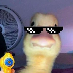 عکس میمعلی!ₚ₁