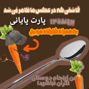 "قاشقی که در عکس ها ظاهر نمیشد" پارت پایانی