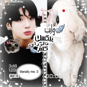 عکس 🪷:وایب pixel شما🎀