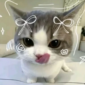 عکس بیوگرافی