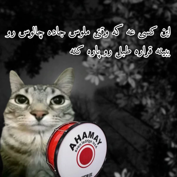 عکس