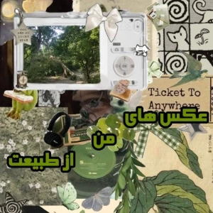 کاور