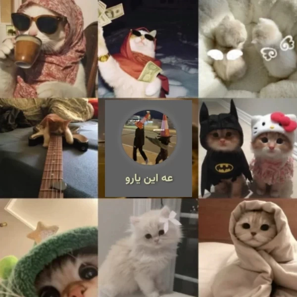 عکس