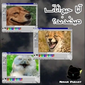 عکس}