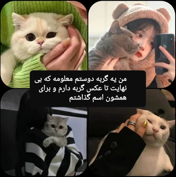 عکس