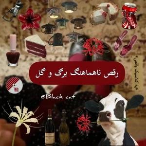 کاور