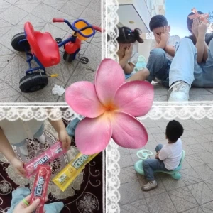 کاور