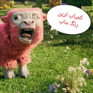 کاور