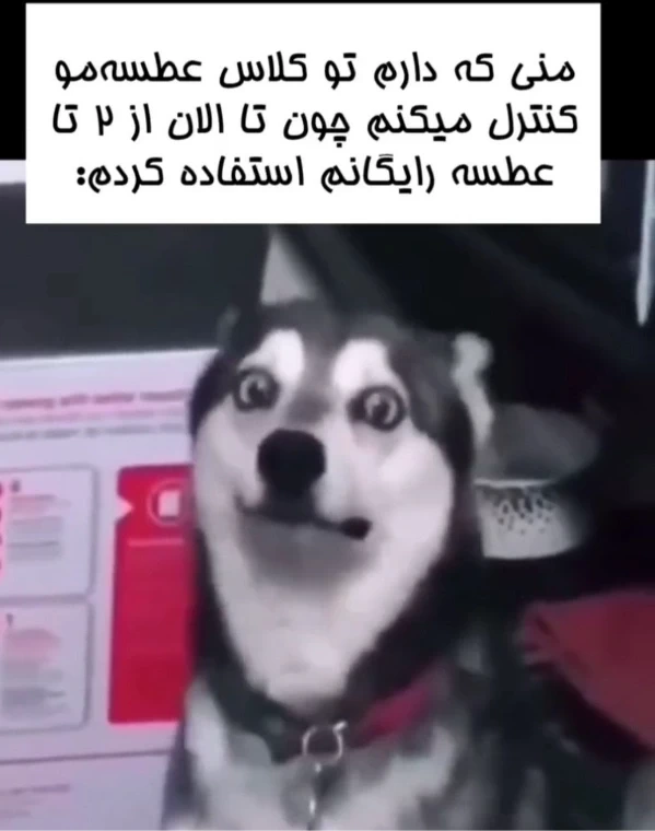 عکس