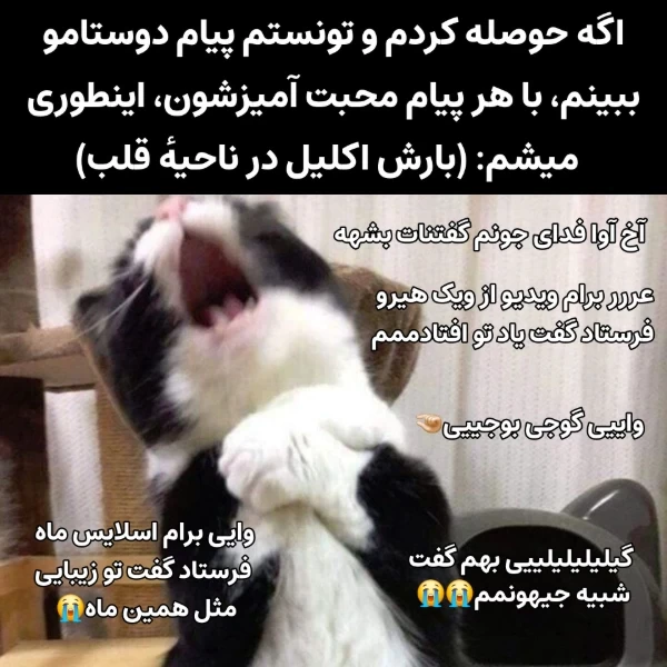 عکس