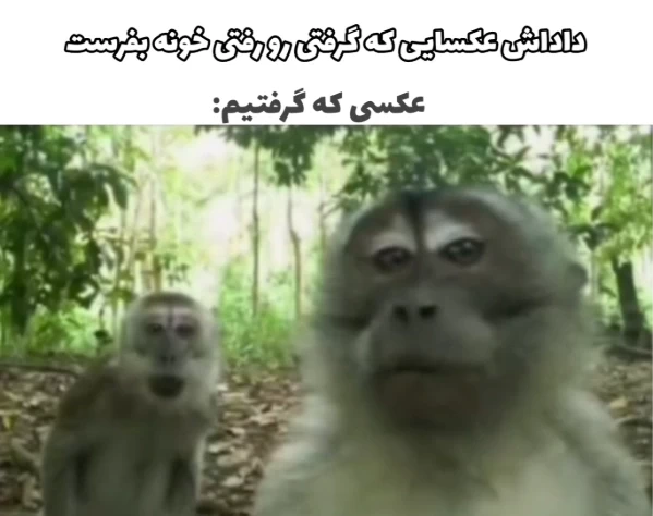 عکس