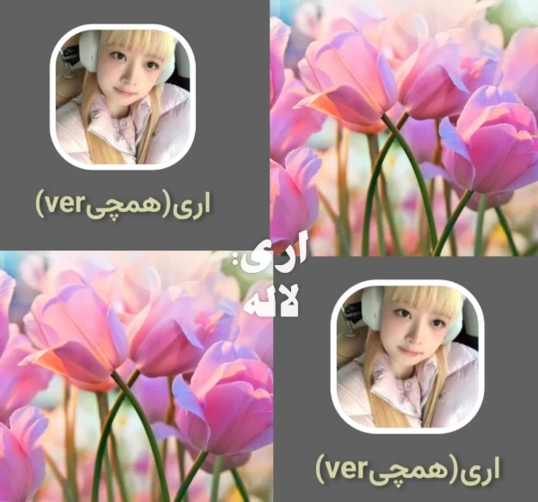 عکس