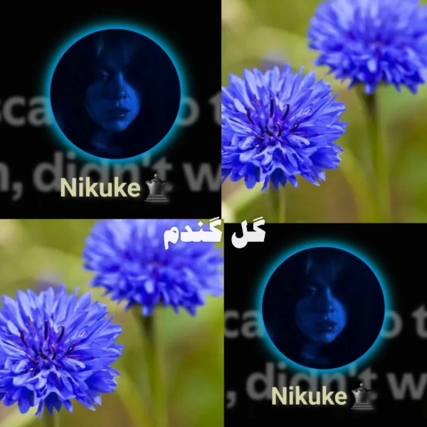عکس
