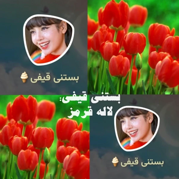 عکس