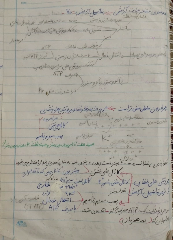 عکس