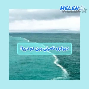 عکس}