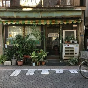 عکس}