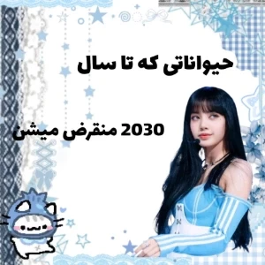 عکس}