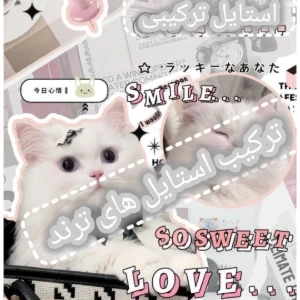 کاور