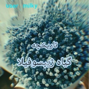 عکس}