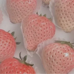 عکس میکاپ کم برای مدرسه!