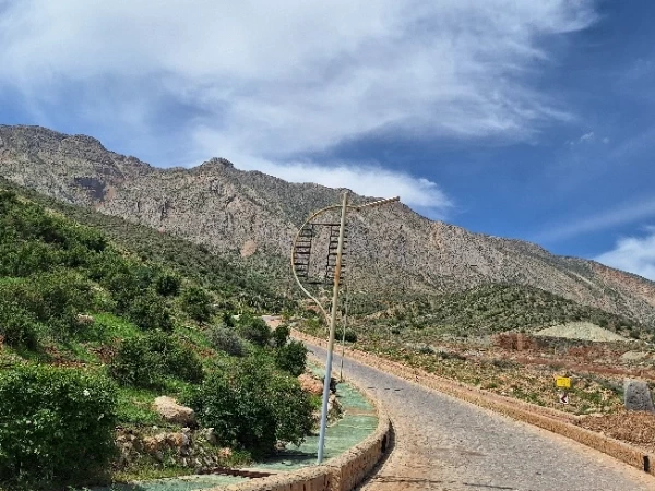 عکس