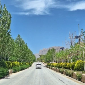 کاور