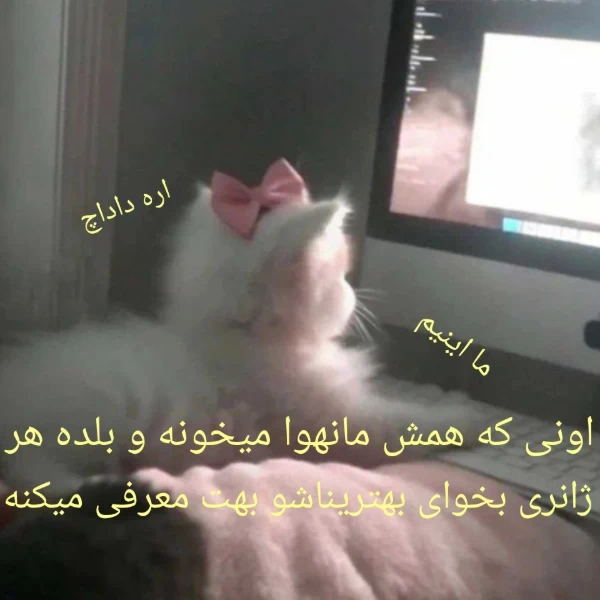 عکس