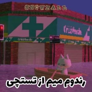 عکس}