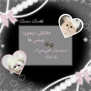 کاور