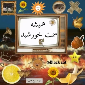 عکس}