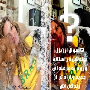 کاور