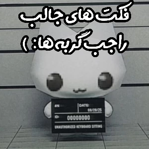 عکس}