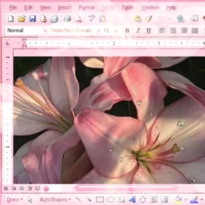 عکس}