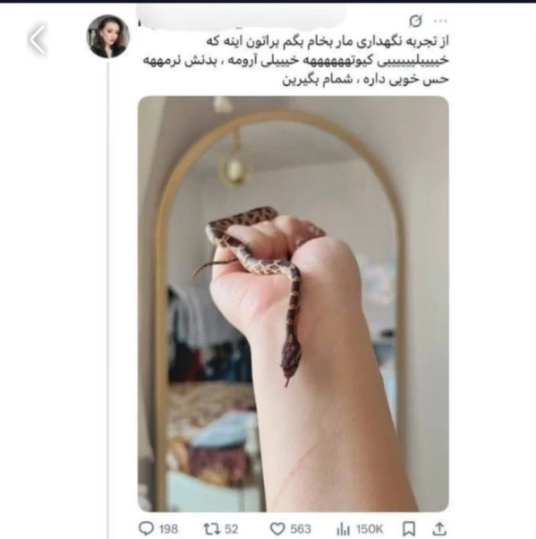 عکس