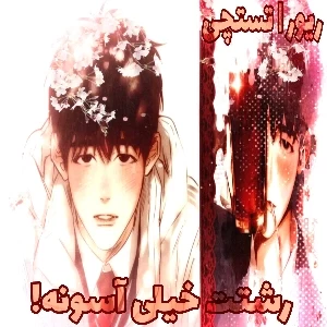 کاور