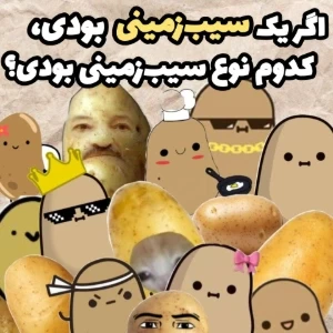عکس}