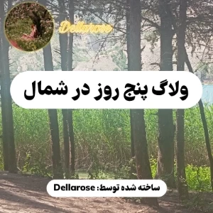 کاور