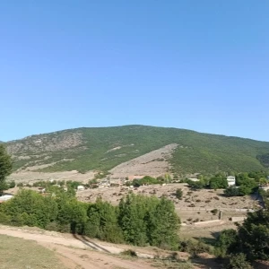 کاور