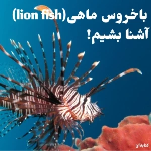عکس}