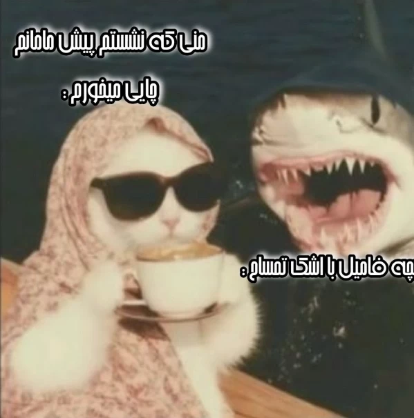 عکس