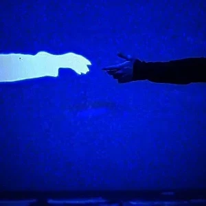 کاور
