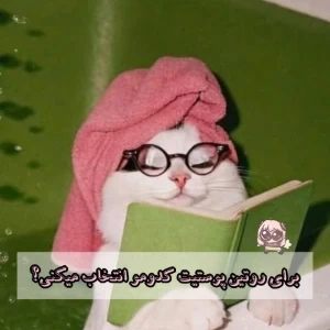 عکس}